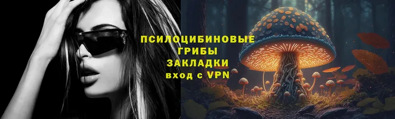 ссылка на мегу tor  Лодейное Поле  Псилоцибиновые грибы Psilocybe 